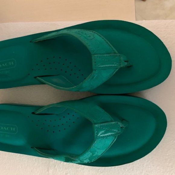 Coach | Shoes | Coach Flip Flops Sandals Green 75 | Poshmark